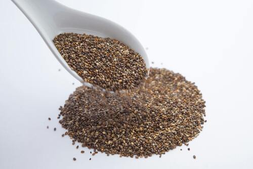 Pengertian Chia Seed